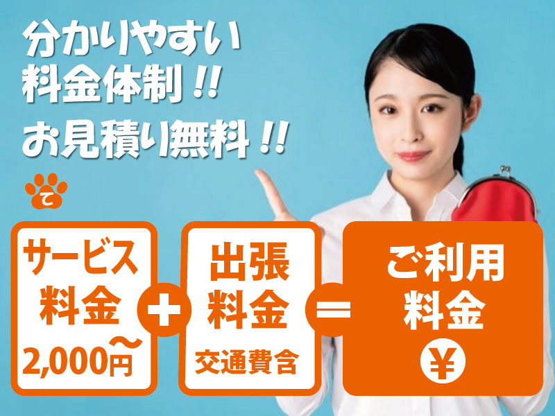 分かりやすい料金体制
