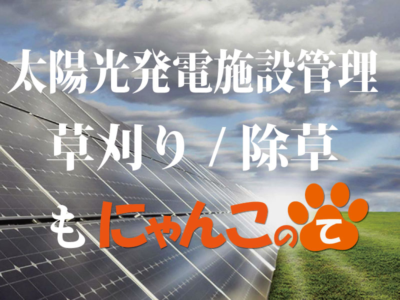 太陽光発電施設管理も、にゃんこのて