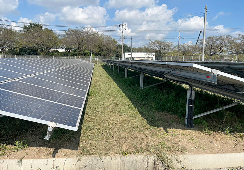 太陽光施設 草刈り